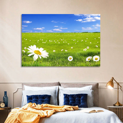 Spring Daisy Meadow Wall Art