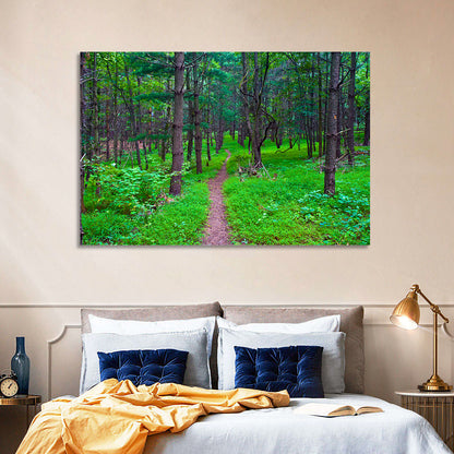 Lush Virginia Forest Trail Wall Art