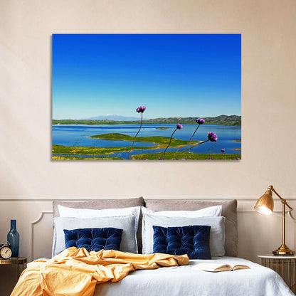 Lake Mathews Wildflower View Wall Art