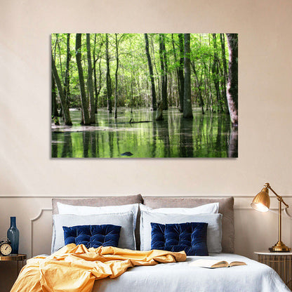 Sunlit Swamp Forest Wall Art