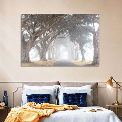 Misty Cypress Tunnel Wall Art