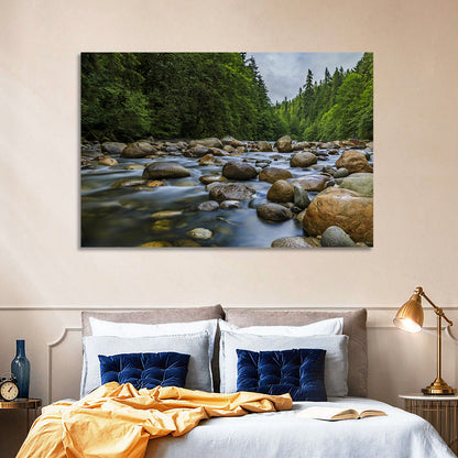 Lynn Canyon Riverbed Forest Wall Art