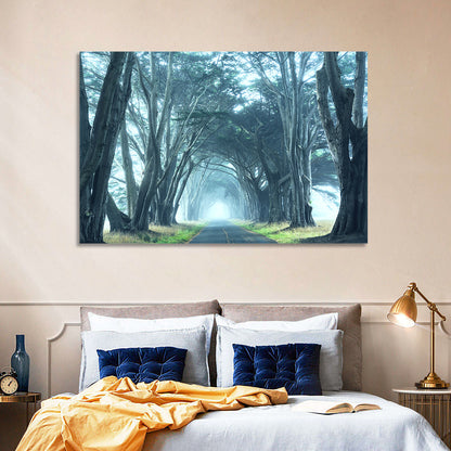 Foggy Cypress Tree Tunnel Wall Art