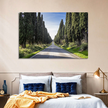 Cypress Trees Avenue Wall Art