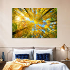 Golden Autumn Canopy Wall Art