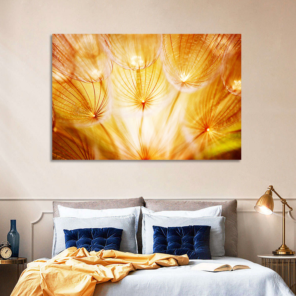 Golden Hour Dandelion Seed Macro Abstract Wall Art