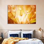 Golden Hour Dandelion Seed Macro Abstract Wall Art