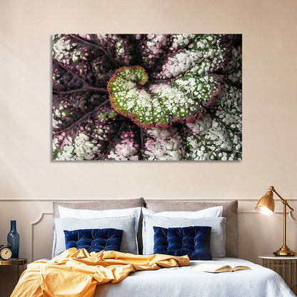 Begonia Leaf Spiral Geometry Wall Art