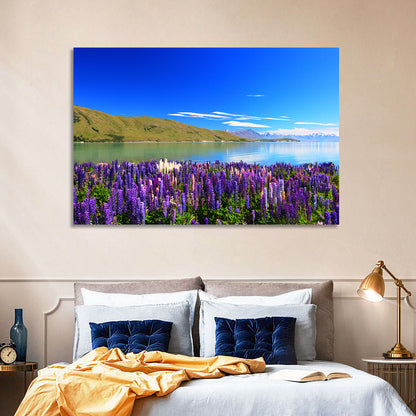 Lake Tekapo Lupine Fields Wall Art