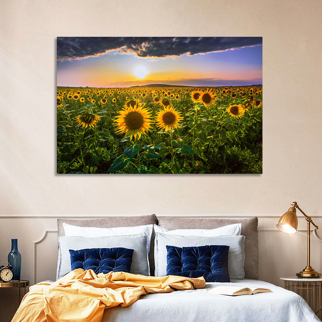 Sunflower Field at Golden Hour Wall Art
