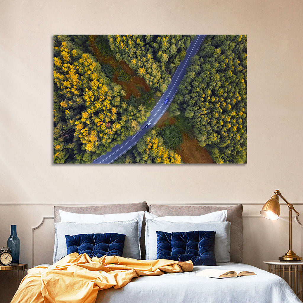 Aerial Autumn Forest Road Wall Art