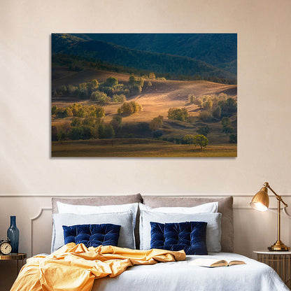 Bashang Plateau Golden Hour Wall Art