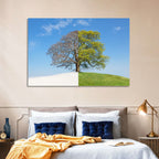 Split Season Tree Landscape Wall Art