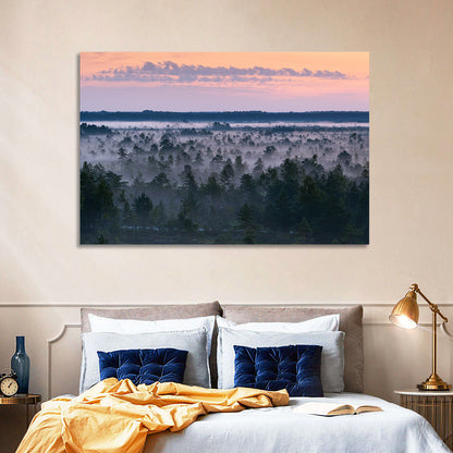 Estonian Misty Pine Landscape Wall Art