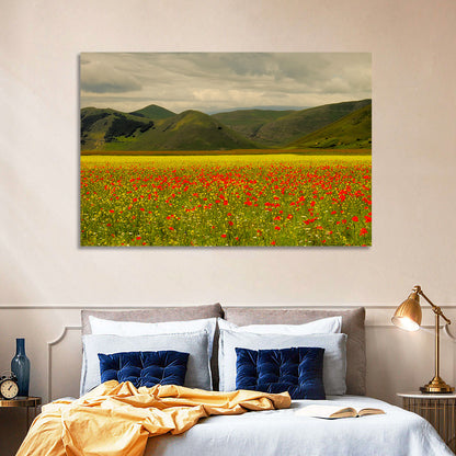Castelluccio Wildflower Meadow Wall Art