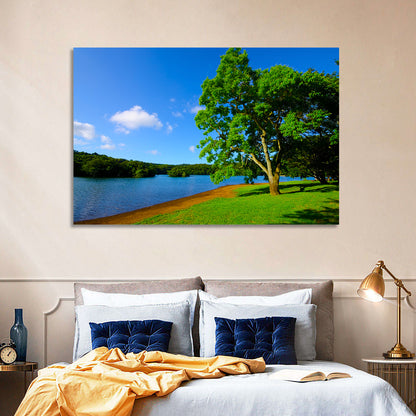 Lake Ippeki Solitary Tree Wall Art