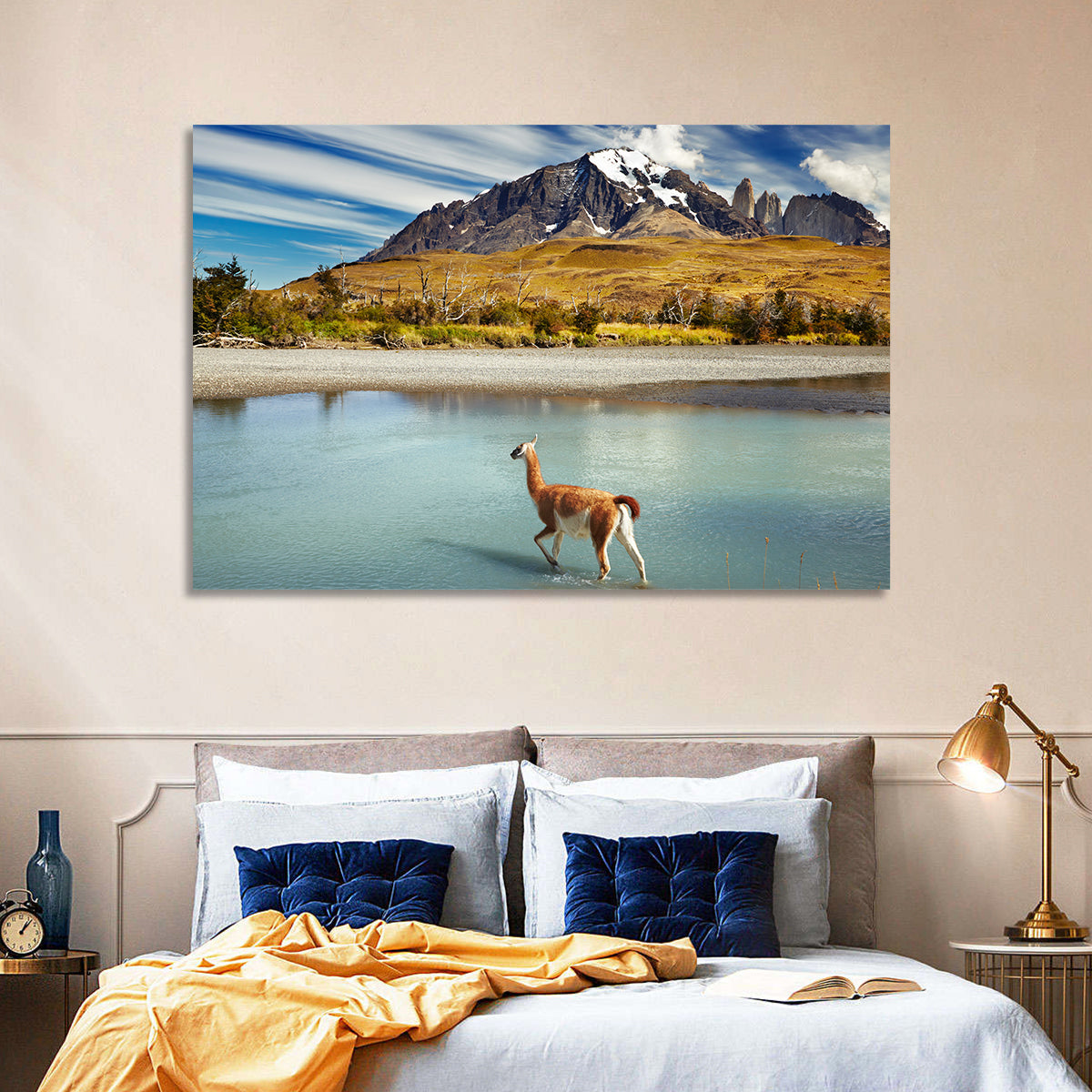 Torres Del Paine, Patagonia Wall Art in a room, landscape