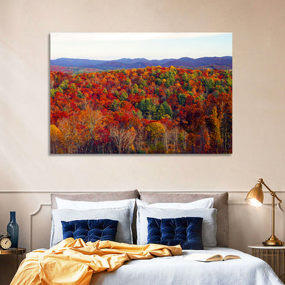 Autumn in the Appalachian Forest Wall Art