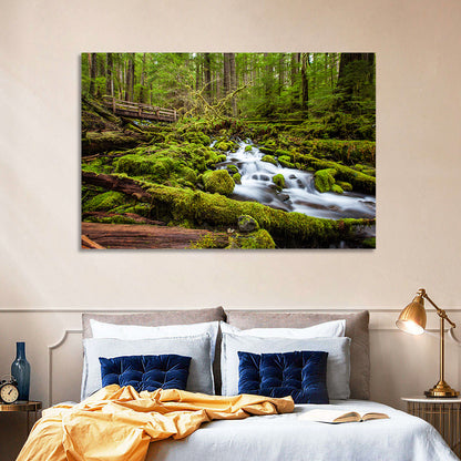 Mossy Cascade Forest Stream Wall Art