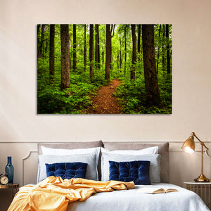 Shenandoah National Park Trail Wall Art