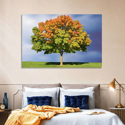 Maple Tree Wall Art