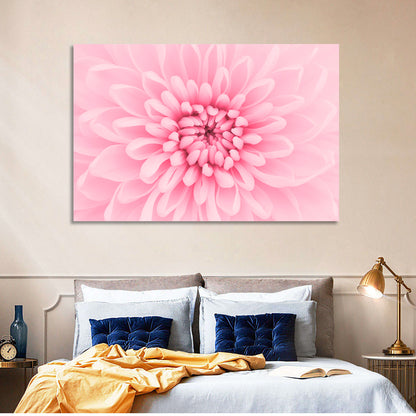 Pink Chrysanthemum Close-up Wall Art