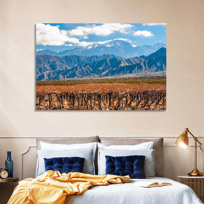 Volcano Aconcagua And Vineyard Wall Art