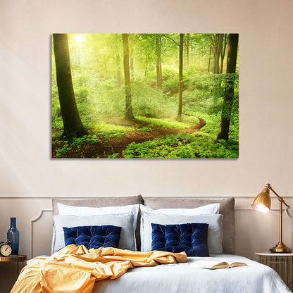 Sunlit Forest Path Wall Art
