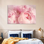 Soft Pink Peony Close Up Wall Art
