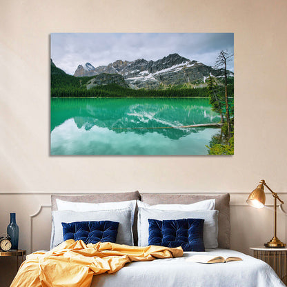Lake O'hara Reflection Wall Art