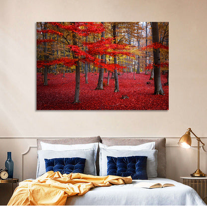 Crimson Autumn Forest Wall Art