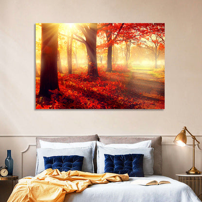 Sunlit Forest Path Wall Art