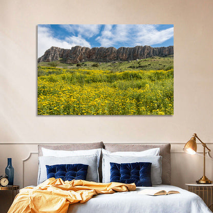 Mount Arbel Wildflower Meadow Wall Art