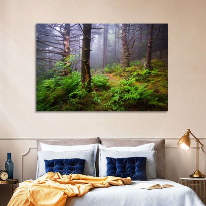 Misty Spruce-fir Trail Wall Art