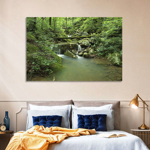 Arkansas Forest Stream Wall Art