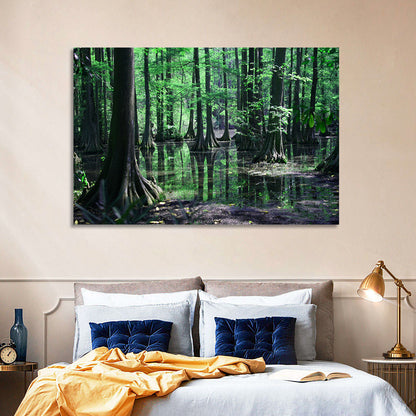Congaree Swamp Reflection Wall Art