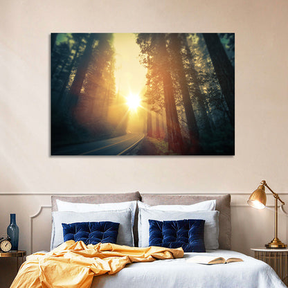 Misty Redwood Road with Golden Sunburst Wall Art