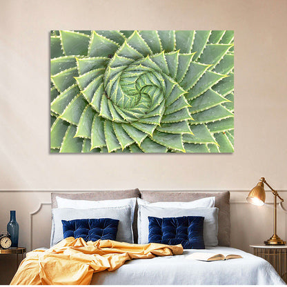 Spiral Aloe Close-up Wall Art