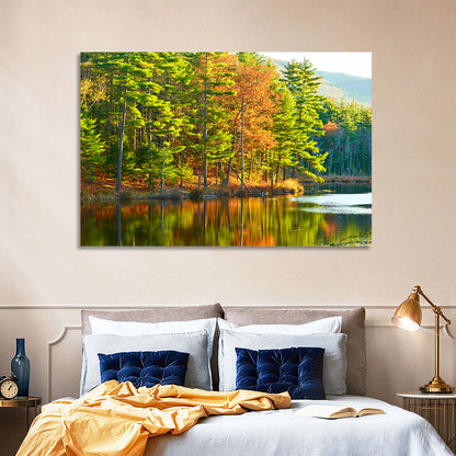 White Mountain National Forest Reflection Wall Art