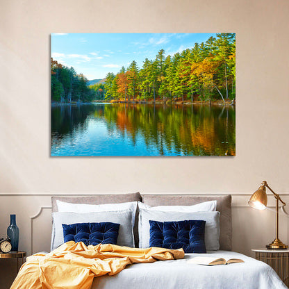 White Mountain Forest Reflections Wall Art