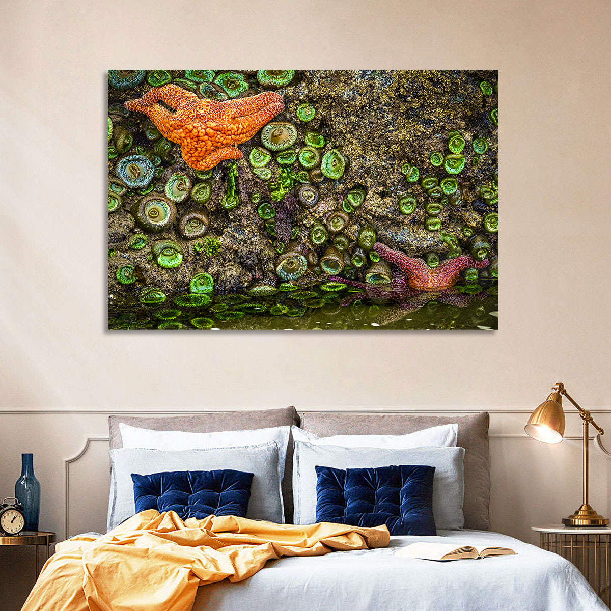 Orange Starfish Tide Pool Wall Art