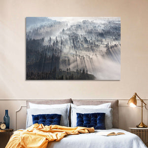 Foggy Forest Sunrise Wall Art