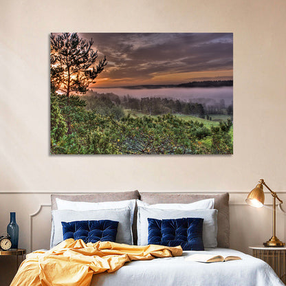 Misty Swedish Pine Valley Wall Art