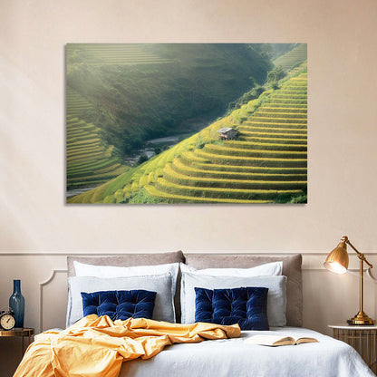 Golden Rice Terraces Wall Art