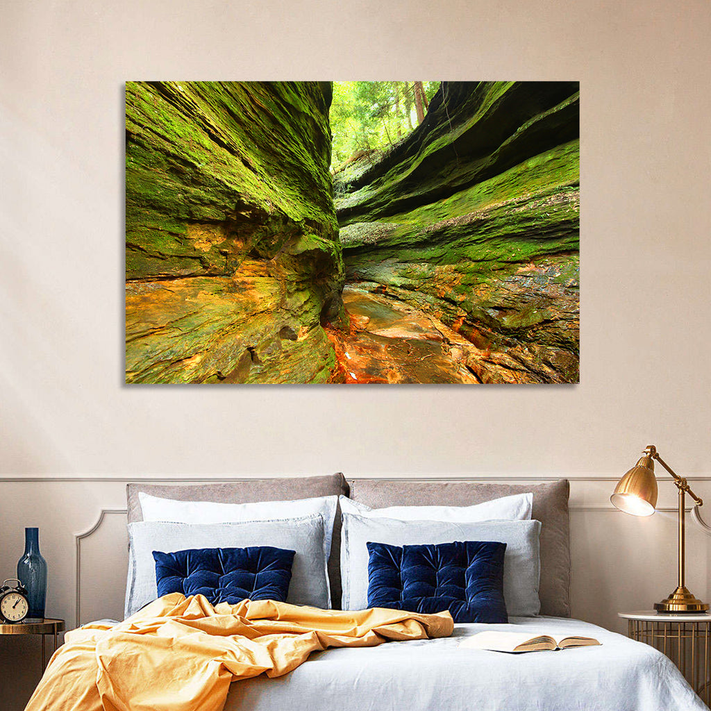 Turkey Run State Park Canyon Wall Art