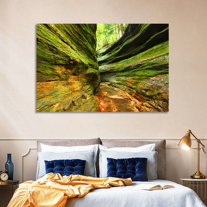 Turkey Run State Park Canyon Wall Art