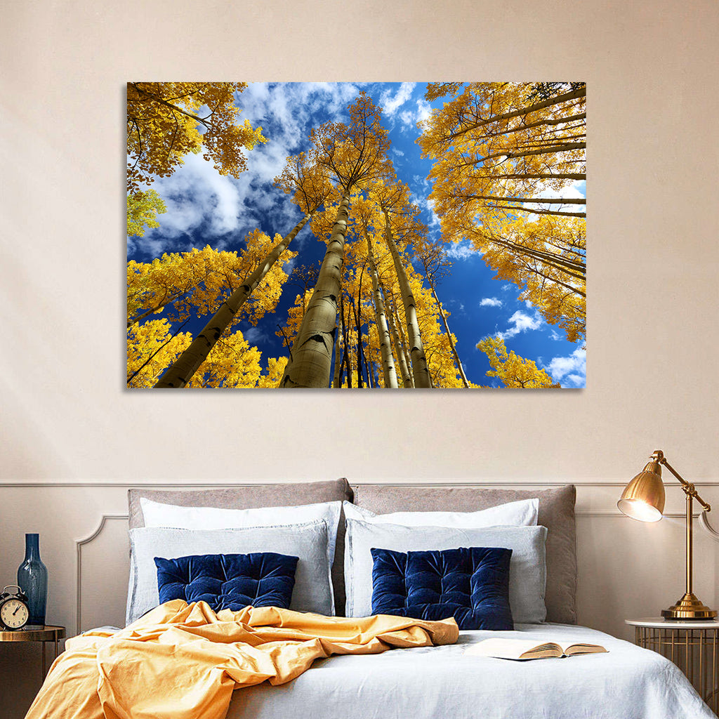 Golden Aspen Canopy View Wall Art