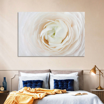 Peach Ranunculus Macro Bloom Wall Art