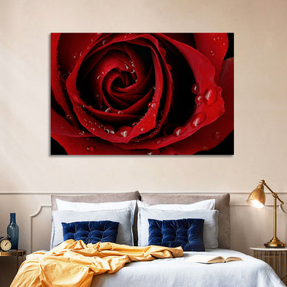 Red Rose with Dew Drops Wall Art