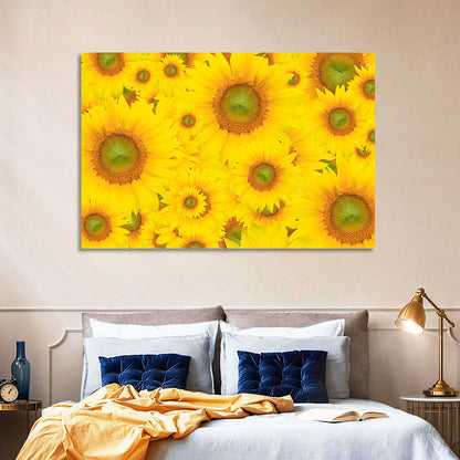 Sunflower Field Close-up in Yellow Wall Art